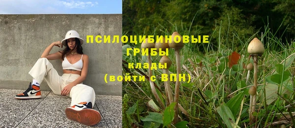 дурь Алексин