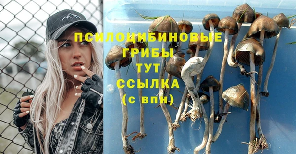 спиды Алзамай