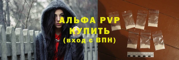 спиды Абаза